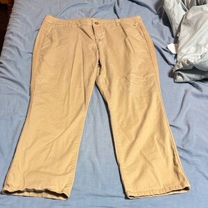 a.n.a women’s  Khaki Chinos